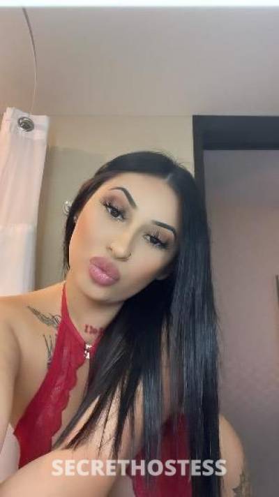 Amiri 21Yrs Old Escort Modesto CA Image - 3