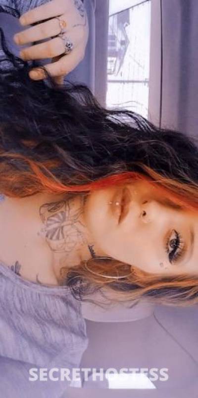 Ashley 23Yrs Old Escort Louisville KY Image - 1