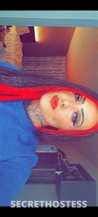 Ashley 23Yrs Old Escort Louisville KY Image - 6