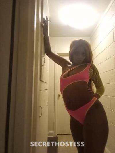 Asia 37Yrs Old Escort Raleigh-Durham NC Image - 5