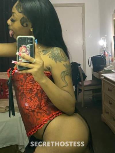 Blaze 19Yrs Old Escort San Francisco CA Image - 1