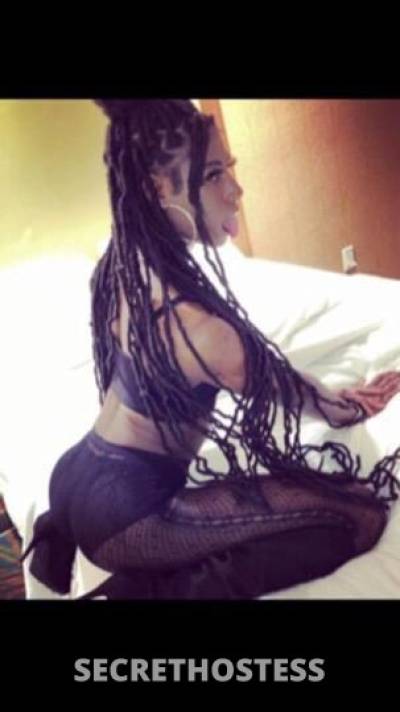 Coco 21Yrs Old Escort Toledo OH Image - 1