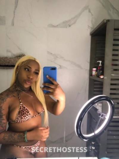 Cookie 21Yrs Old Escort Denver CO Image - 4