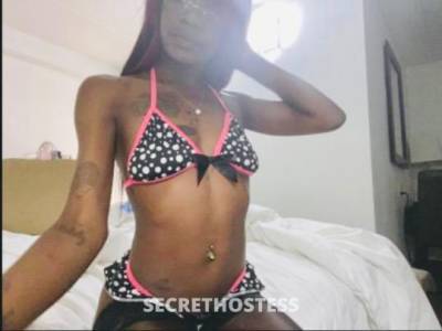 Essence 23Yrs Old Escort Northern Virginia DC Image - 6