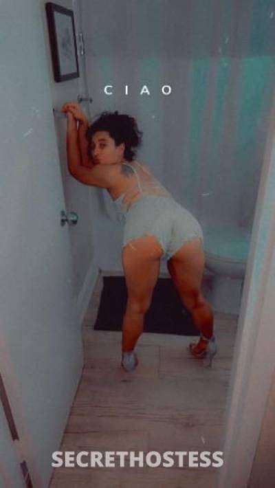 JAZZZZ 28Yrs Old Escort Gainesville FL Image - 6
