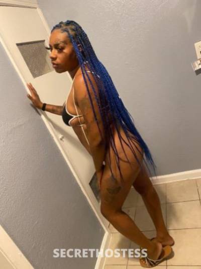 Kashbaby 26Yrs Old Escort Los Angeles CA Image - 0