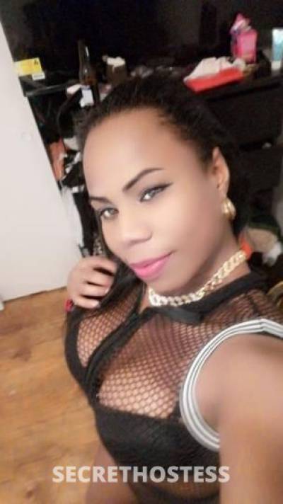 Katy 27Yrs Old Escort Kansas City MO Image - 1