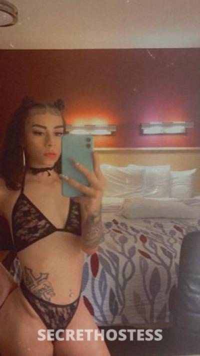 Layla 25Yrs Old Escort Toledo OH Image - 7