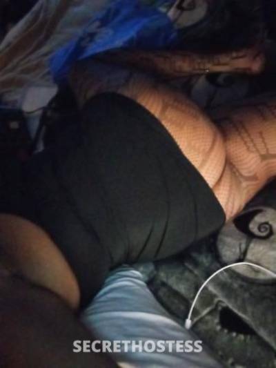 Lisa 27Yrs Old Escort Northern Virginia DC Image - 1