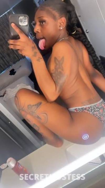 MINIKAT 23Yrs Old Escort Louisville KY Image - 2