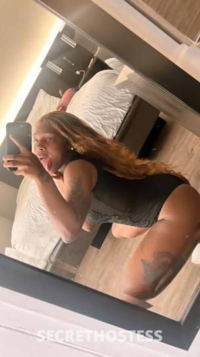 MINIKAT 23Yrs Old Escort Louisville KY Image - 3