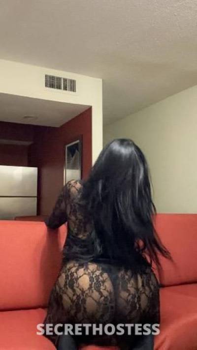 Marilyn 27Yrs Old Escort Northern Virginia DC Image - 1