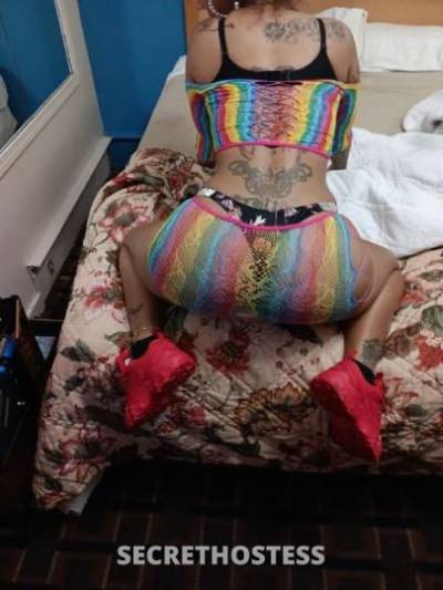 MichellMmArie 30Yrs Old Escort Buffalo NY Image - 3