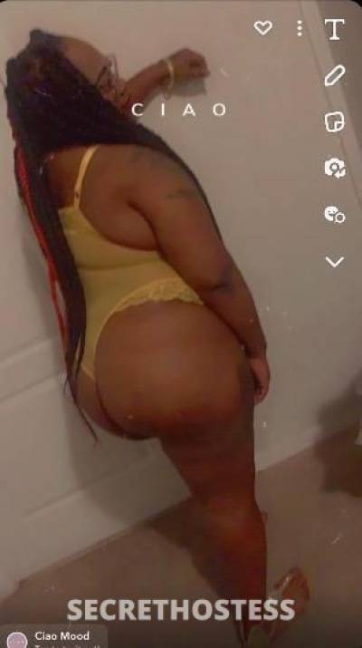 MsFatkat 35Yrs Old Escort Valdosta GA Image - 0