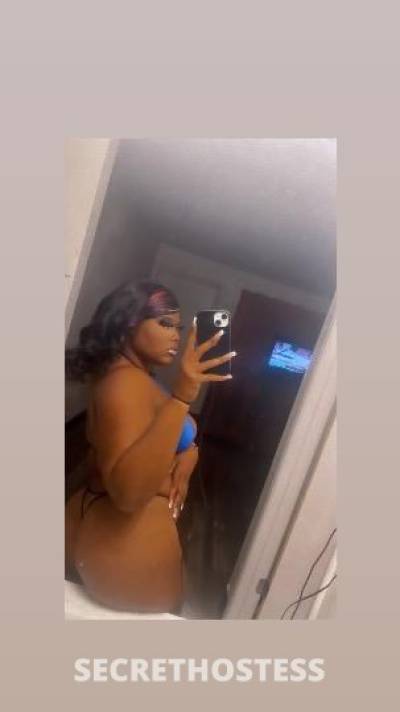 Nicki 23Yrs Old Escort Phoenix AZ Image - 3