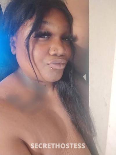 Queen 32Yrs Old Escort Modesto CA Image - 6