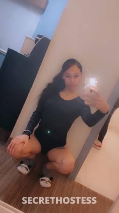 Rosie 24Yrs Old Escort Toledo OH Image - 2