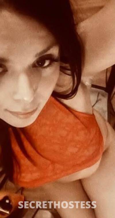 Samantha 21Yrs Old Escort San Jose CA Image - 2