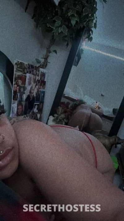 Selena 21Yrs Old Escort Dallas TX Image - 5