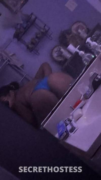 Selena 21Yrs Old Escort Dallas TX Image - 6