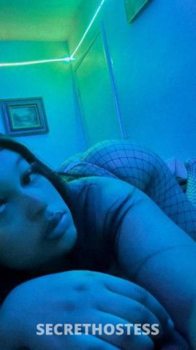 Selena 21Yrs Old Escort Dallas TX Image - 7