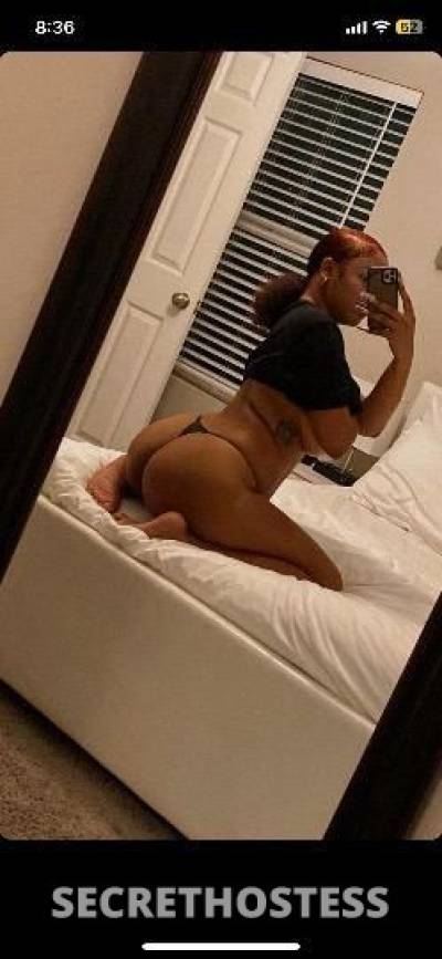 Starr 20Yrs Old Escort 167CM Tall Long Beach CA Image - 1