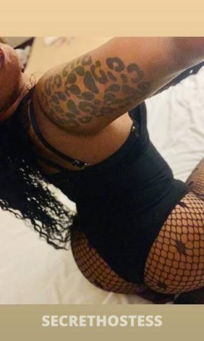 Treasure 25Yrs Old Escort Los Angeles CA Image - 2