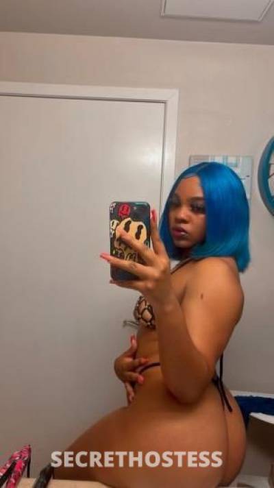 21 Year Old Dominican Escort Denver CO - Image 3