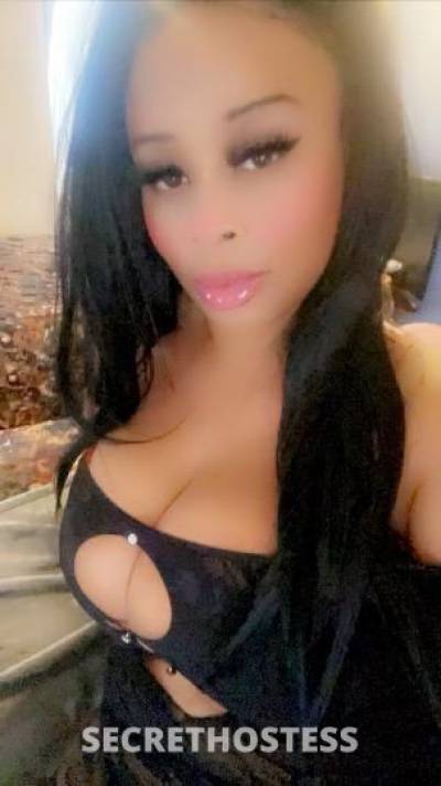 Wynter 24Yrs Old Escort Los Angeles CA Image - 4