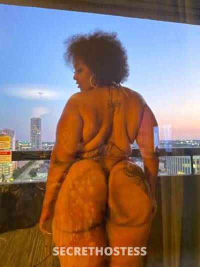 Yella 26Yrs Old Escort Houston TX Image - 8