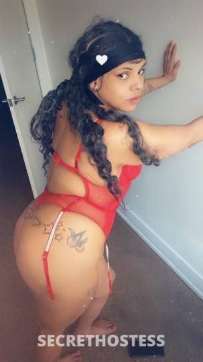 ari 25Yrs Old Escort Chicago IL Image - 3