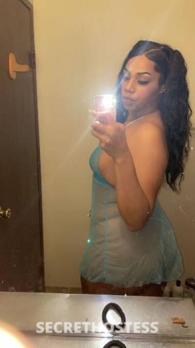 💦✨Miraccle✨💦 21Yrs Old Escort Tacoma WA Image - 3