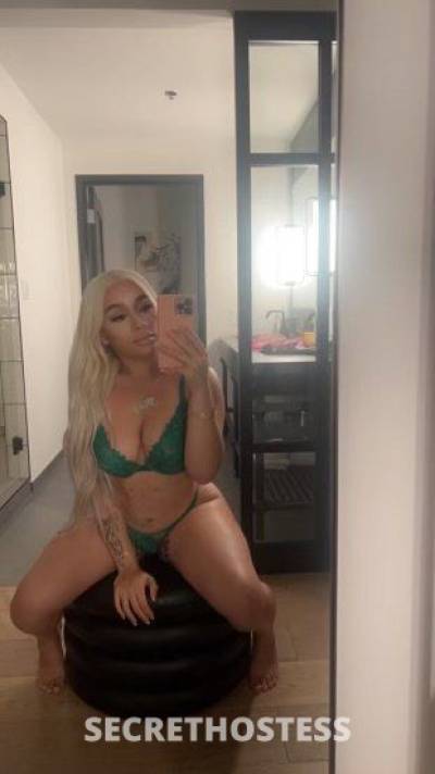 24 Year Old Italian Escort Sacramento CA Blonde - Image 6