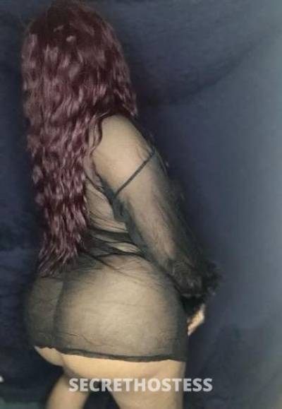 27Yrs Old Escort 167CM Tall Indianapolis IN Image - 1