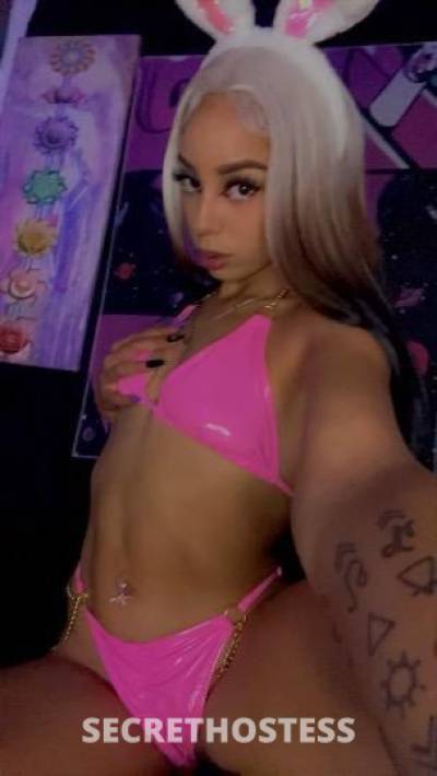 Bambii 27Yrs Old Escort San Francisco CA Image - 3