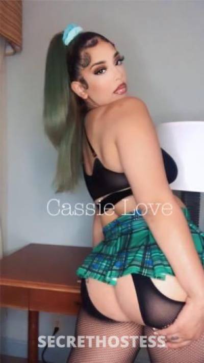 Cassie 25Yrs Old Escort Sacramento CA Image - 4