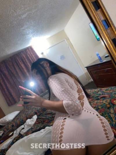 Destiny 21Yrs Old Escort Concord CA Image - 3