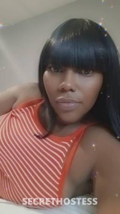 Dominique 33Yrs Old Escort Jacksonville FL Image - 1