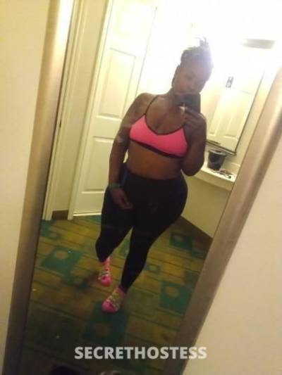 Kandy 31Yrs Old Escort Tampa FL Image - 1