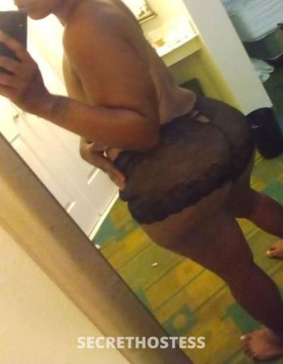 Kandy 31Yrs Old Escort Tampa FL Image - 3