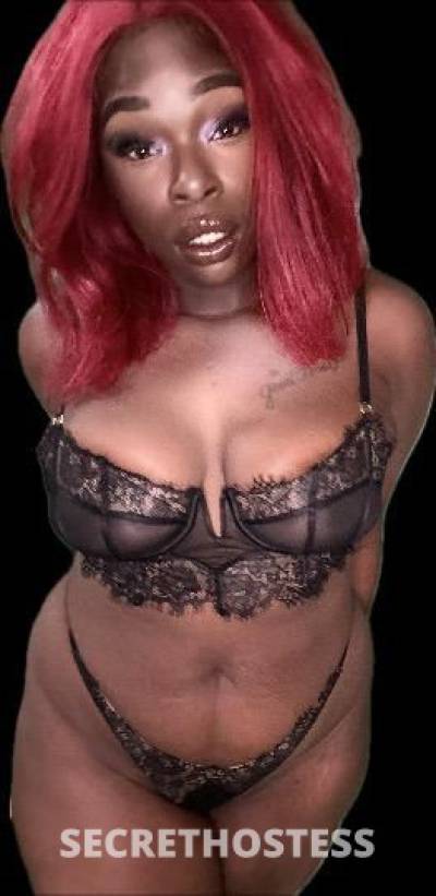 Minnah 28Yrs Old Escort San Gabriel Valley CA Image - 7