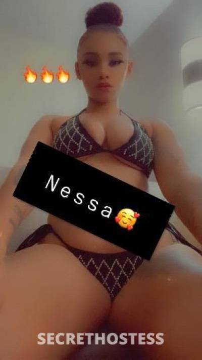 Nessa 21Yrs Old Escort Chicago IL Image - 2