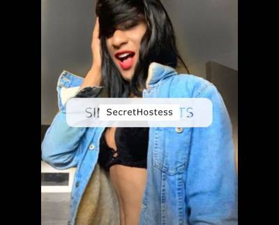 26 year old Brazilian Escort in Dublin Nycolle Kiss TV