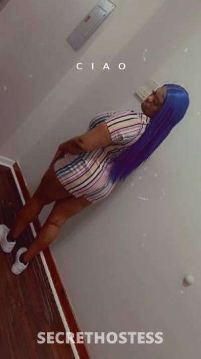 ShyMoney 25Yrs Old Escort Hartford CT Image - 1