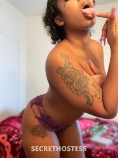 25Yrs Old Escort Bronx NY Image - 1