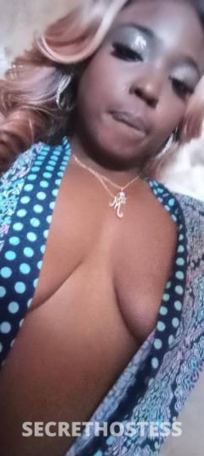 27Yrs Old Escort Miami FL Image - 1