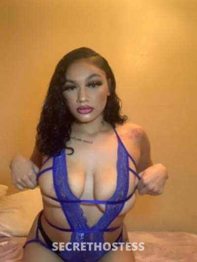 Alena 22Yrs Old Escort San Francisco CA Image - 5