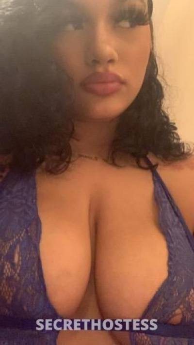 Alena 22Yrs Old Escort San Francisco CA Image - 9