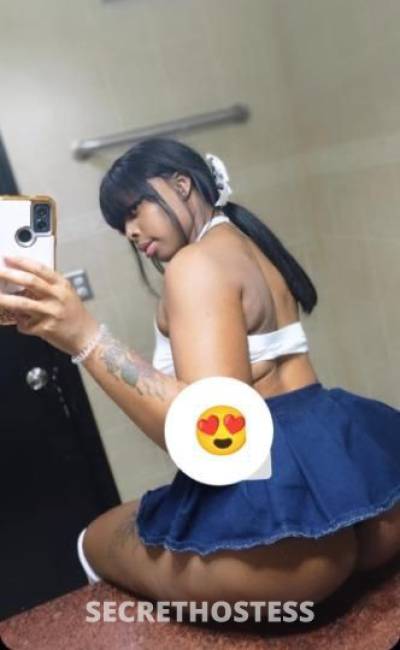 Mia 22Yrs Old Escort Chicago IL Image - 2