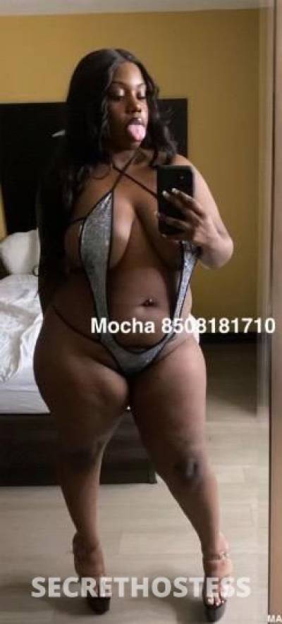 Mocha 24Yrs Old Escort Jacksonville FL Image - 0